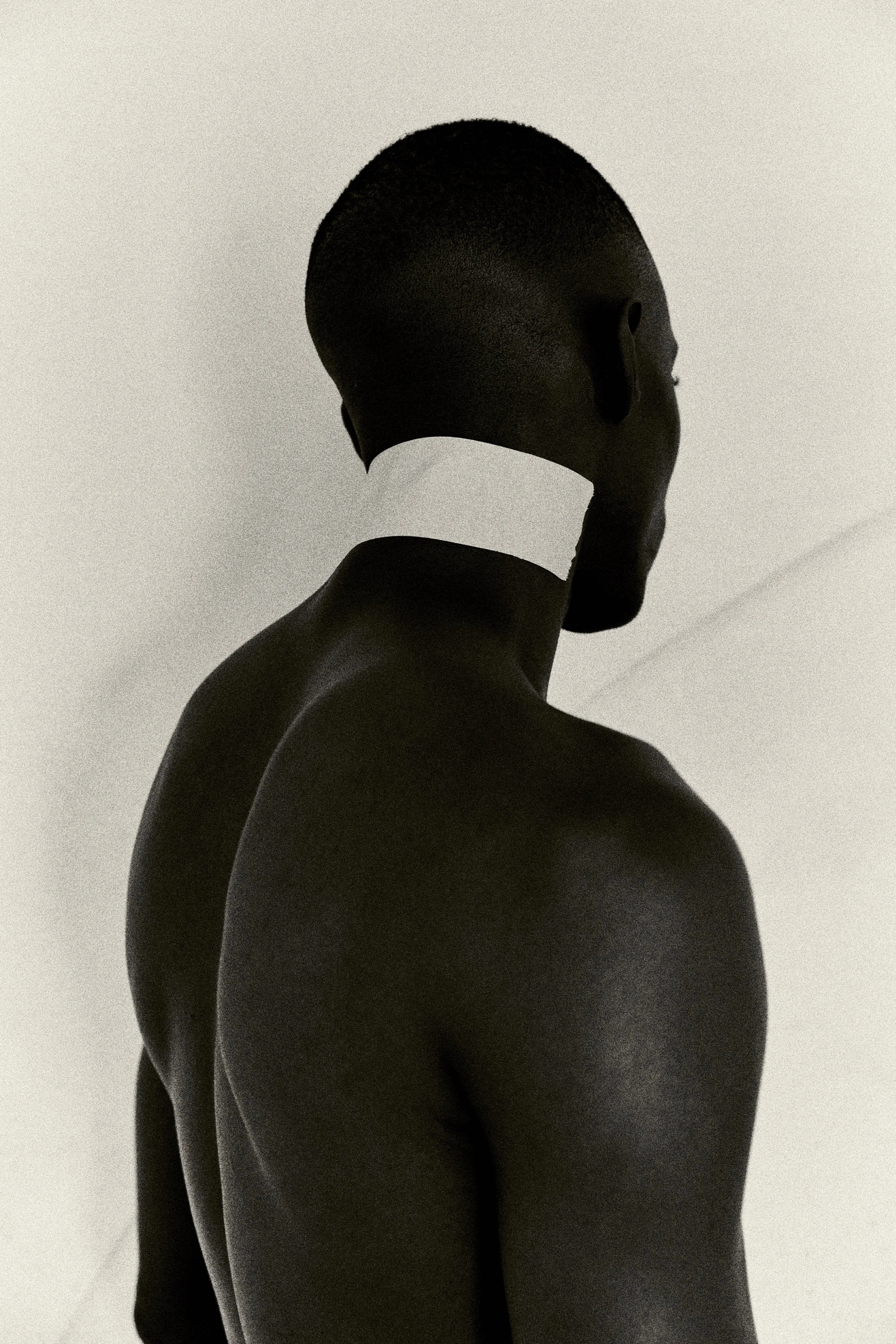 MONO - HA — VESTAL